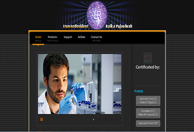 وب سایت شرکت رایکا پژوهش وب سایت شرکت رایکا پژوهش